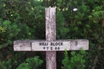 willi-block