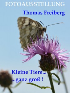 Ausstellung Thomas Freiberg