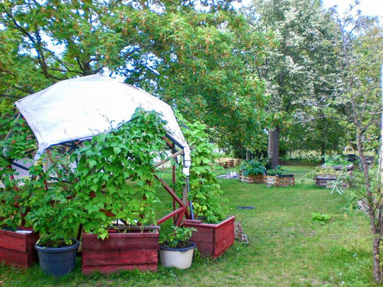 Schenken & Tauschen im Gemeinschaftsgarten "LOUNGE GARTEN"